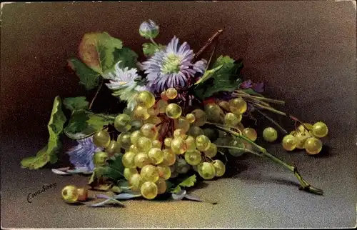Künstler Ak Sivers, C. von, Stillleben mit Weintrauben und Astern