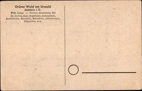 Ak Bockhorn in Oldenburg Friesland, Grüner Wald am Urwald, Affen, Ponys, Spielplatz