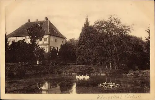 Ak Erfurt in Thüringen, Königsthal, Teich