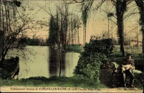 Ak Forges les Bains Essonne, La Piece d'eau
