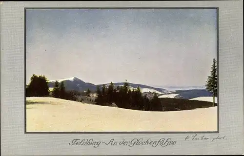 Ak Feldberg im Schwarzwald, Am Seebuck