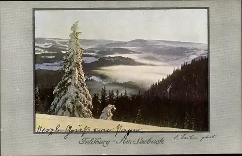 Ak Feldberg im Schwarzwald, Am Seebuck