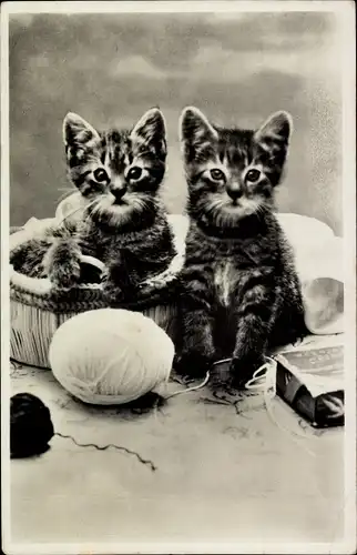 Ak Zwei junge Katzen, Wollknäuel, Katzenportrait