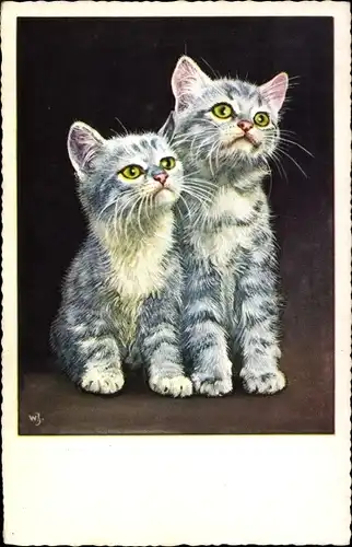 Künstler Ak Zwei junge Katzen