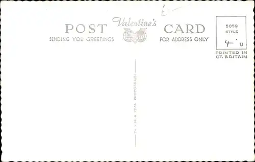 Ak Zwei weiße Katzen, The Aristocrats