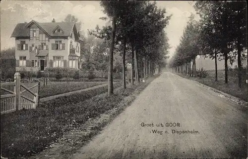 Ak Goor Overijssel, Weg n. Diepenheim