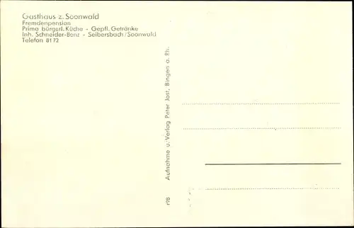 Ak Seibersbach im Hunsrück, Gasthaus z. Soonwald, Schwimmbad, Panorama