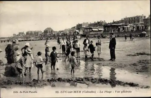 Ak Luc sur Mer Calvados, La Plage, Vue generale