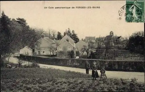 Ak Forges les Bains Essonne, Un Coin panoramique