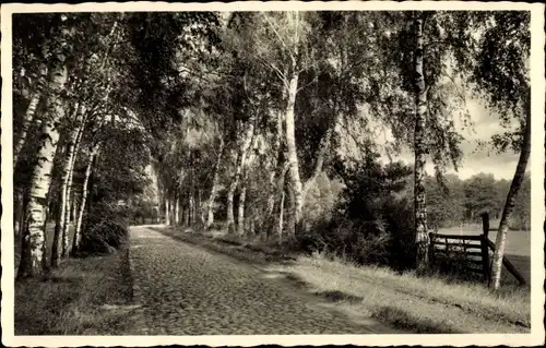 Ak Pritzwalk in der Prignitz, Hainholz Promenade