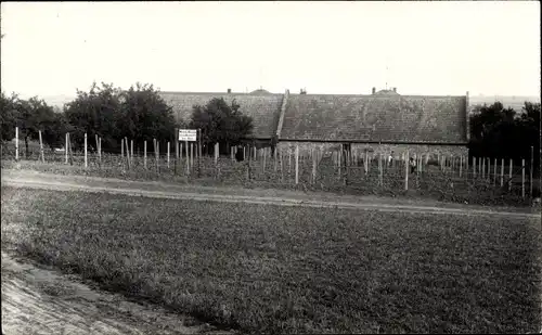 Foto Ak Pfaffen Schwabenheim in Rheinhessen, Weinberganbau hinter dem Haus