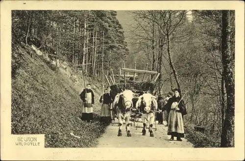 Ak Beuron an der Donau Württemberg, Waldidylle, Rinder mit Fuhrwerk