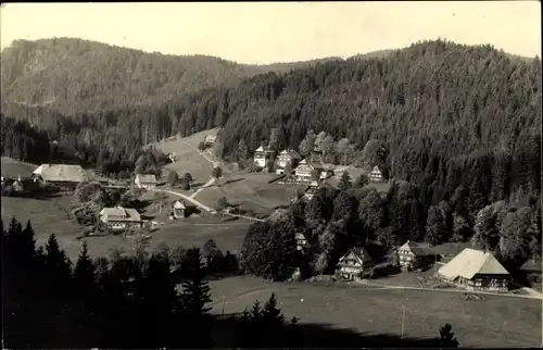 Ak Hinterzarten im Schwarzwald, Teilansicht, Wald