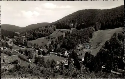 Ak Bad Rippoldsau Schapbach im Schwarzwald, Teilansicht, Wald