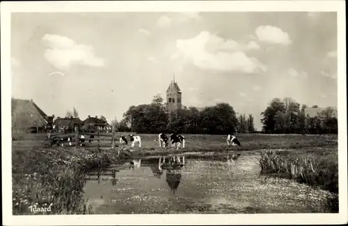 Ak Idaerd Friesland, Fluss, Kühe, Kirchturm