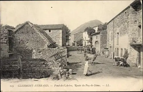 Ak Clermont Ferrand Puy de Dôme, Fond de l'Arbre, Route du Puy de Dome