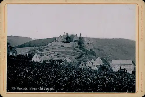 Kabinettfoto um 1895, Neustadt an der Haardt Neustadt an der Weinstraße, Haardter Schlösschen