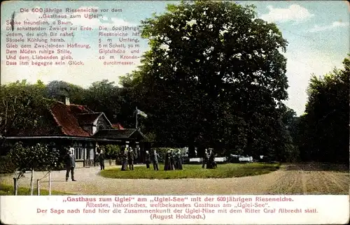 Ak Eutin in Ostholst., Gasthaus Zum Uglei am Ugleisee, Inh. August Holzbach, 600 jährige Rieseneiche