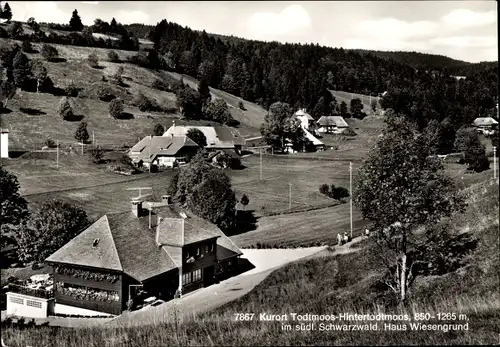 Ak  Hintertodtmoos Todtmoos im Hochschwarzwald, Pension Wiesengrund, Umgebung