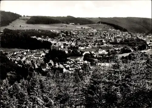 Ak Neustadt im Breisgau Schwarzwald, Gesamtansicht