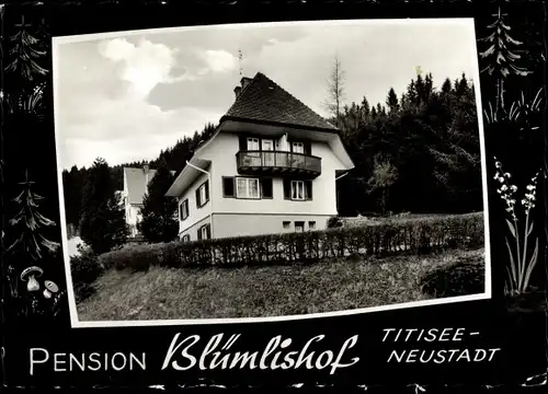Ak Titisee Neustadt im Breisgau Schwarzwald, Pension Blümlishof