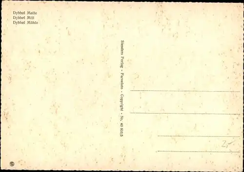 Ak Dybbøl Sogn Düppel Dänemark, Windmühle, Büste