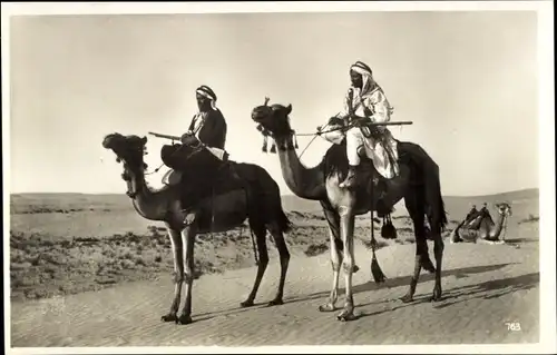 Ak Beduinen, Dromedar, Wüste, Kamele, Araber, Maghreb