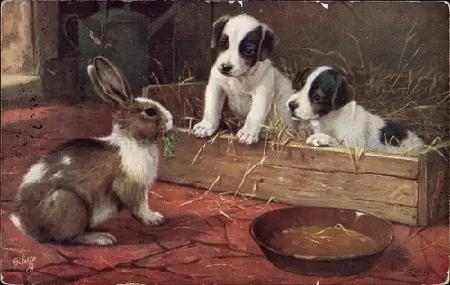 Künstler Ak Hundewelpen in einer Kiste, Hase