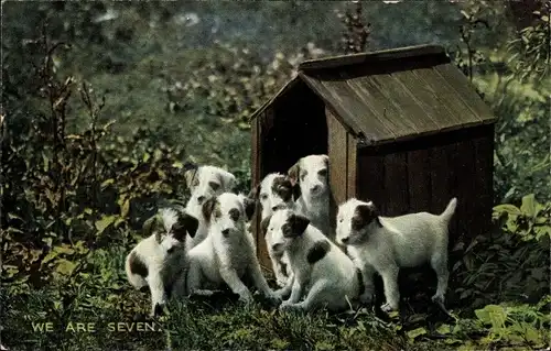 Ak We are seven, Hundewelpen vor einer Hundehütte, Pretty Puppies, Tuck 4448