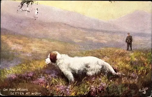 Künstler Ak On the Moors, Setter at Work, Tuck