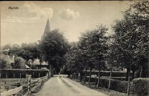 Ak Harich Friesland, Straßenpartie, Bäume