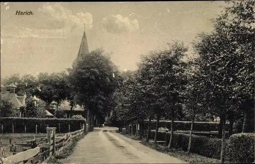 Ak Harich Friesland, Straßenpartie, Bäume