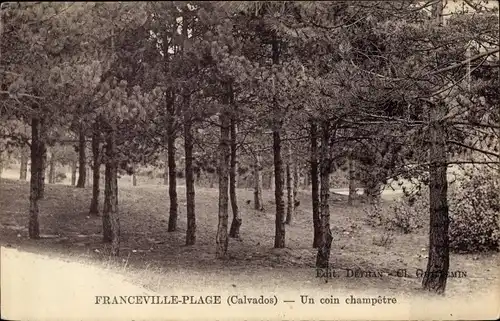 Ak Franceville Plage Calvados, Un coin champetre