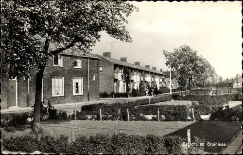 Ak Bruinisse Zeeland, Ortspartie, Häuser, Bäume