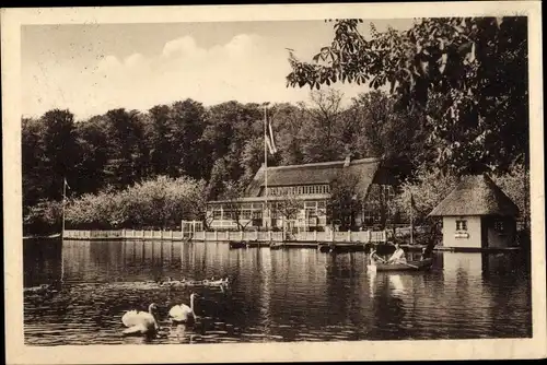 Ak Neukloster Buxtehude im Kreis Stade, Ottenstreuer's Wald See Haus Klosterkrug, Schwäne