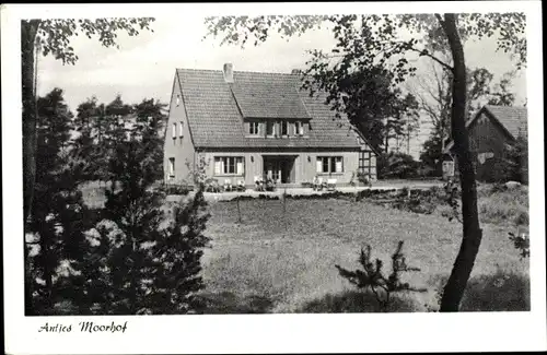 Ak Borchel Rotenburg an der Wümme, Antjes Moorhof