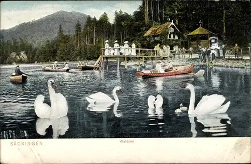 Ak Bad Säckingen am Hochrhein, Waldsee, Schwäne