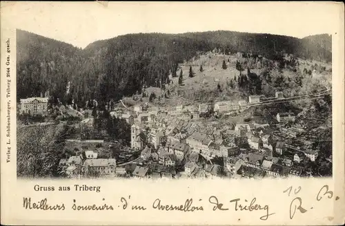 Ak Triberg im Schwarzwald, Teilansicht