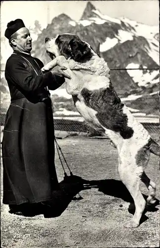 Ak Grand Saint Bernard Kanton Wallis, Mönch mit Bernhardiner, Hospice