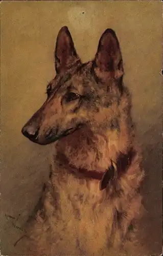 Künstler Ak Schäferhund, Hundeportrait
