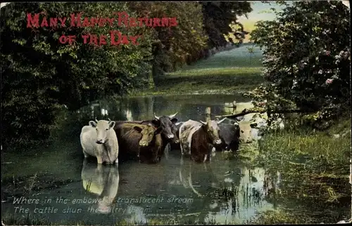 Ak Rinder im Wasser, Pleasant Pastures