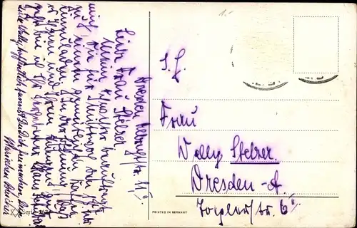 Künstler Ak Schönian, Alfred, Pfau am Futternapf