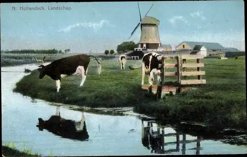 Ak Niederlande, Landschaft mit Rindern und Windmühle