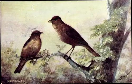 Künstler Ak Scrivener, Maude, Nightingales, Nachtigallen