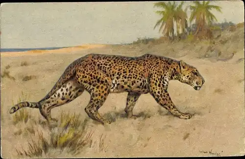 Künstler Ak Wardle, Leopard, Seitenprofil des Jagdtieres
