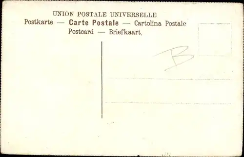 Ak Hirsch im Gehege, Geweih