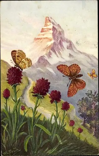 Künstler Ak Früh, W., Männertreu, Nigritella nigra, Schmetterlinge, Matterhorn