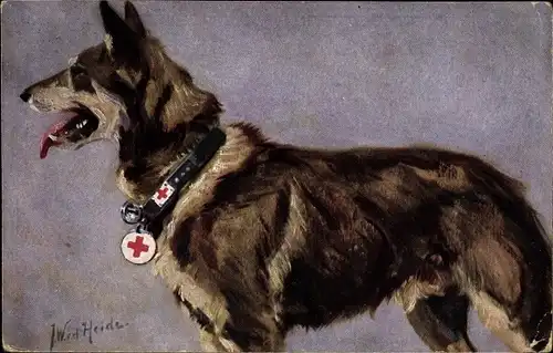 Künstler Ak Heide, J. W. von der, Sanitätshund, Deutscher Schäferhund, Rotes Kreuz