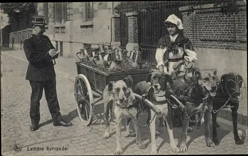 Ak Laitiere flamande, Milchmädchen in belgischer Trahct, Hundekarren, Polizist