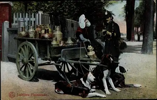 Ak Laitière Flamande, Flämisches Milchmädchen, Hundekarren, Polizist